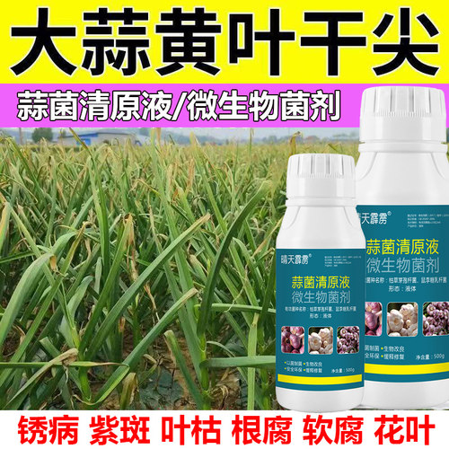 大蒜病害药蒜菌清原液农药杀菌剂