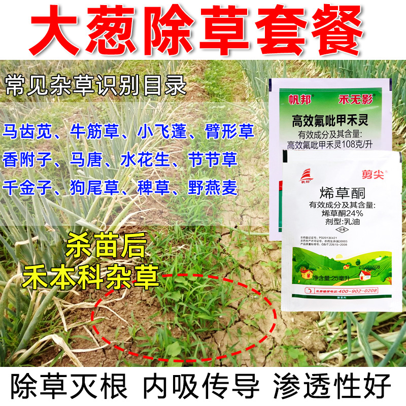 大葱苗后除草剂牛筋草马苋齿通用