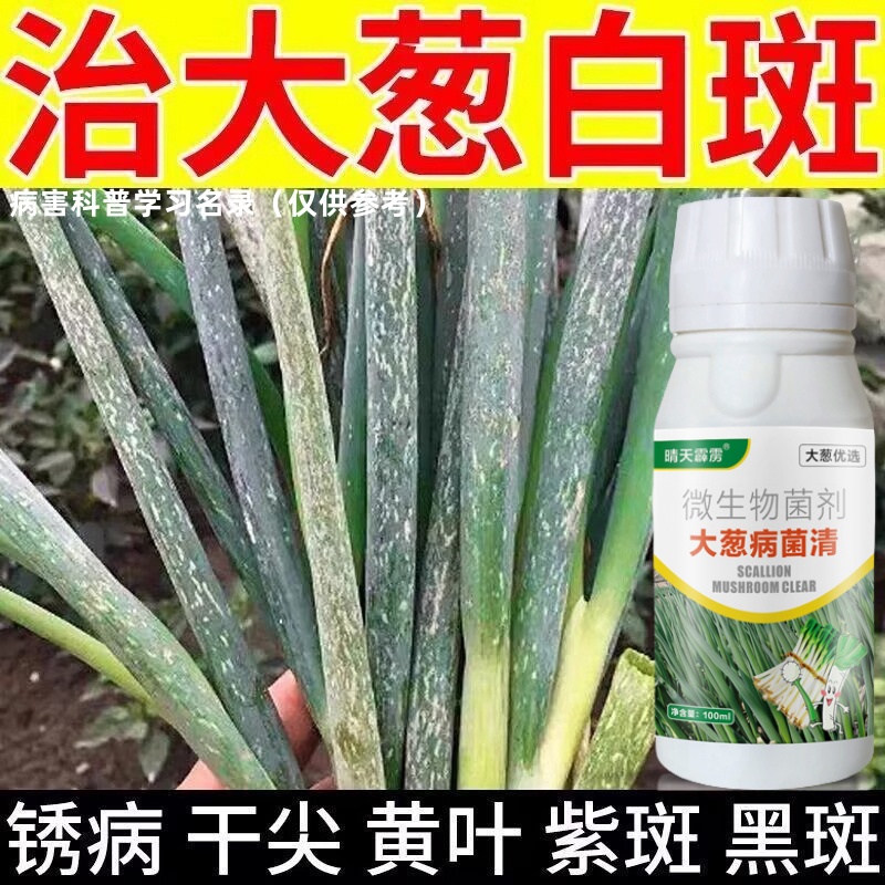 大葱治病药大葱白斑病锈病干尖黄叶紫斑病大葱小葱农药杀菌剂