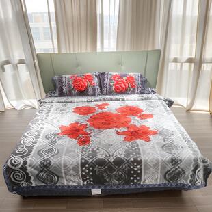 拉舍尔秋冬高端毛毯四件套双层加厚轻奢婚庆高档单双人床套超柔软