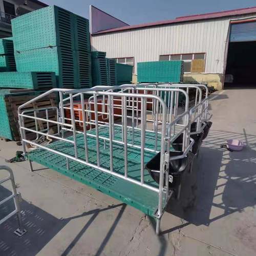 2024新款母猪定位栏热镀锌限位栏落地定位栏不锈钢限位栏现货供应