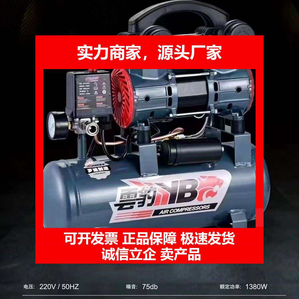 德国十大品牌9升手持式空气压缩机打气泵1380w大功率电机上气35秒