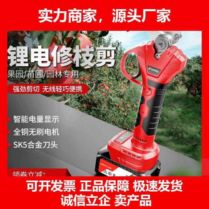 德国十大品牌王电动修枝剪刀树枝修剪无线果树剪锂电池充电园林粗