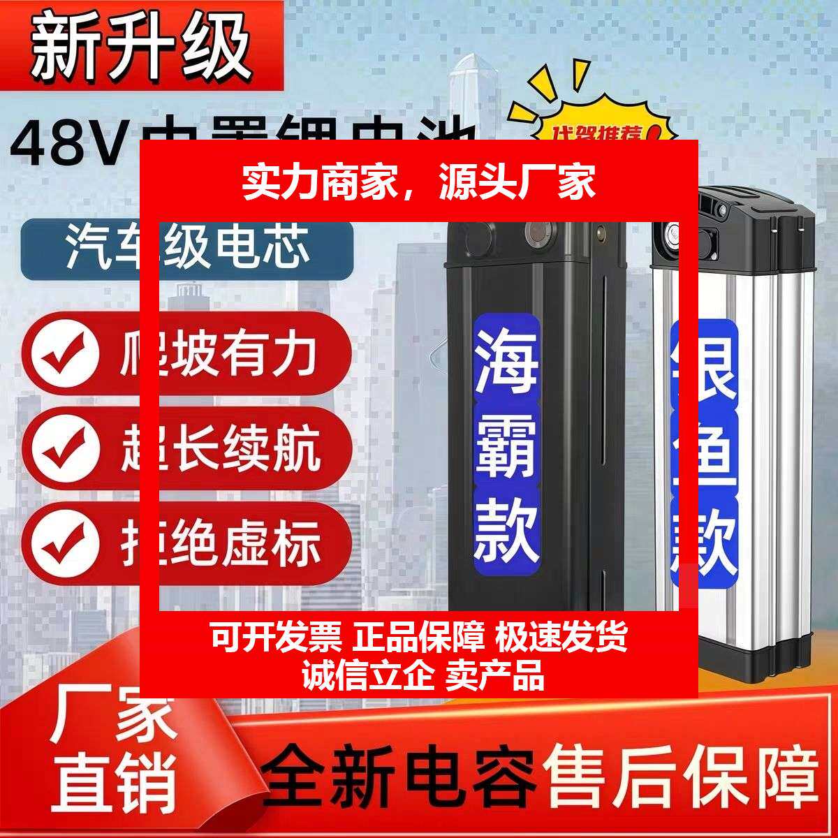 48V20Ah大容量电动车锂电池十大品牌