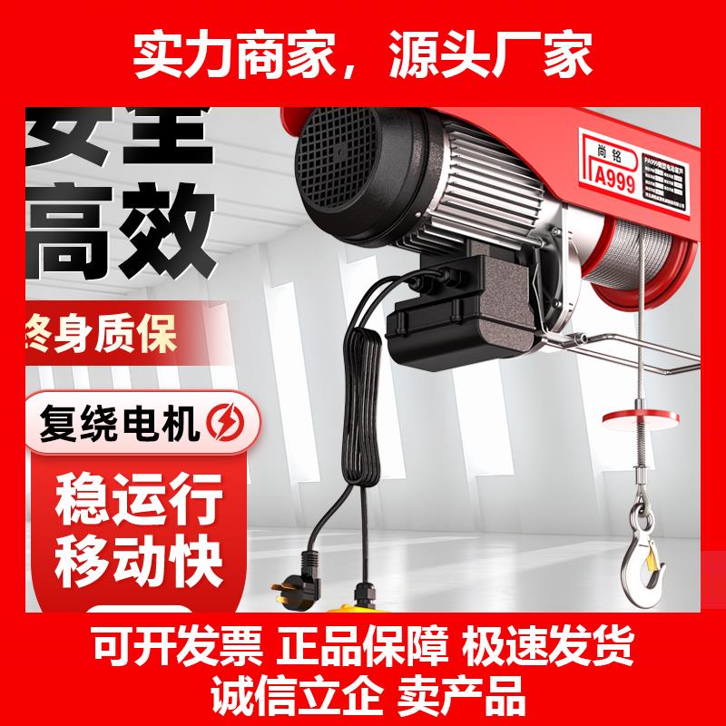 新款微型220v电动吊车家用吊机绞盘升降起重机小型升降机提升机1t