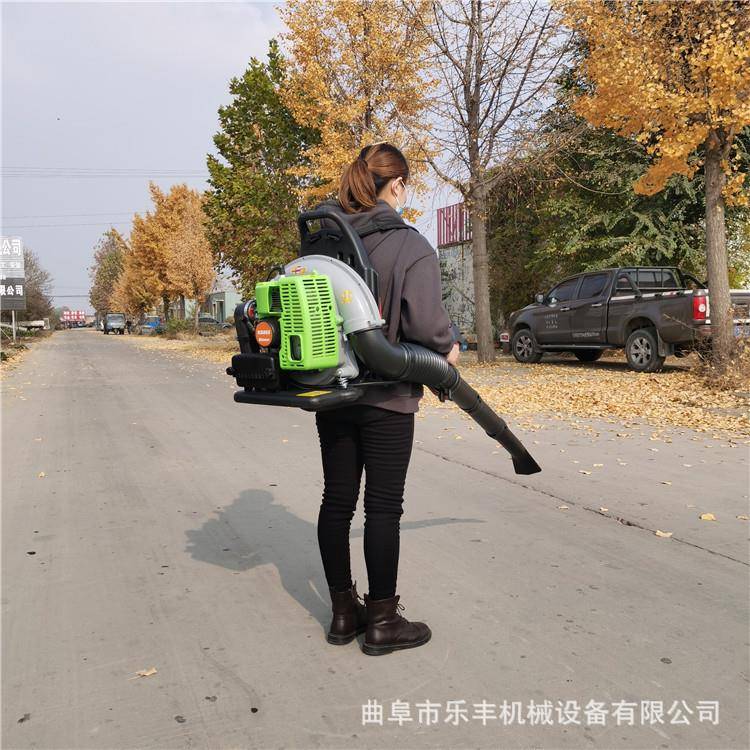 汽背负式吹二雪机背负式冲程汽油叶吹风机油园林景区落叶QED吸机