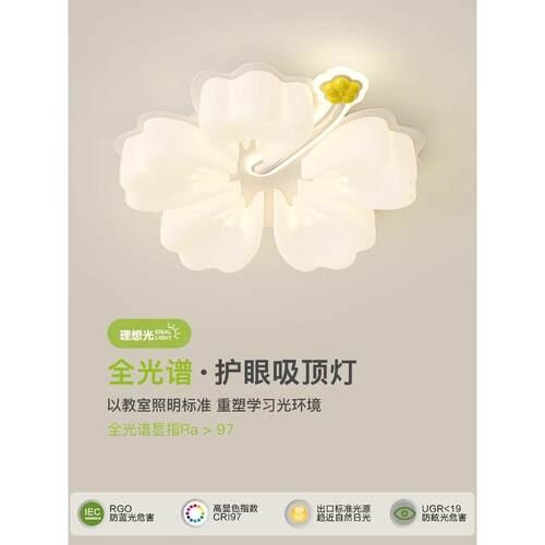 全584光谱眼卧室吸顶护灯温馨浪奶漫花现代简约设计客厅油风房朵