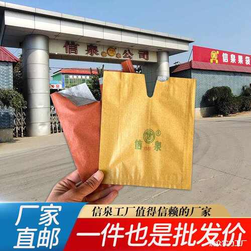 大号冬桃寿桃套袋包桃蟠桃袋中华映果霜袋双层毛桃纸袋油红黄