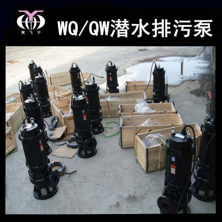 80WQ50-10-3 KW潜水电泵排污泵 QW无堵塞污水污物潜污泵提升泵