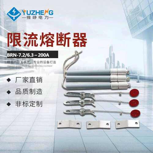 高压熔断器BRN-10KV BRN-12 电容器保护用高压熔断器