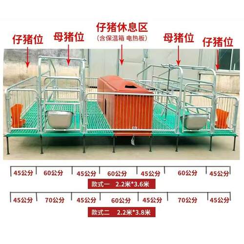 厂家猪现货母复猪产床猪用产保两用双体产床母分栏全合仔猪娩XQD
