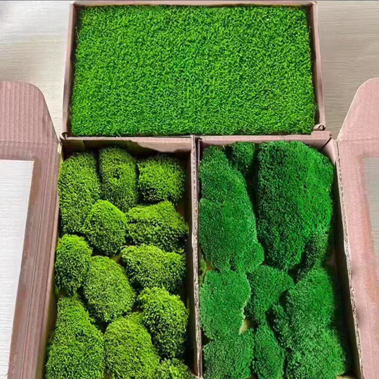 永生苔藓植物墙 室内墙面软装 工程墙铺面造景仿真青苔白发大灰藓