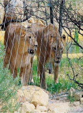 动全公园鸟语林不锈钢丝围网圈养家多种禽宠物动物安防盗物防园护