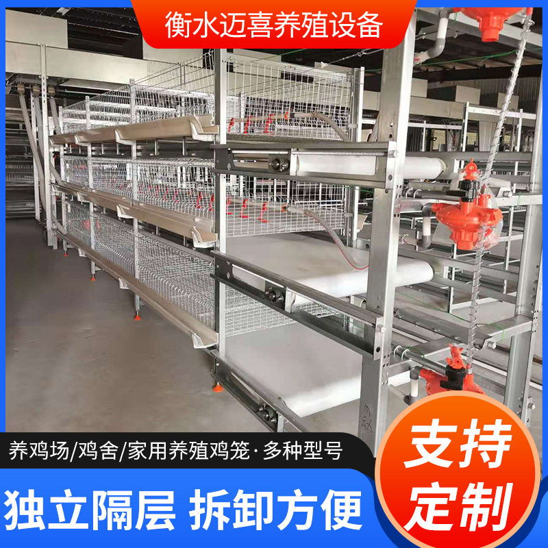 全自动化肉鸡笼 养鸡设备 专业养殖 自动清粪 自动喂料 框架式