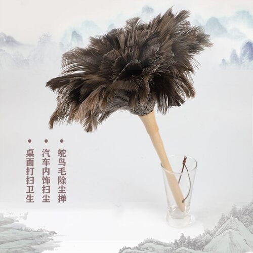 鸵飞飞鸵无尘鸟毛掸子家手用工打扫吸扫灰除尘料长塑柄逗猫棒可水