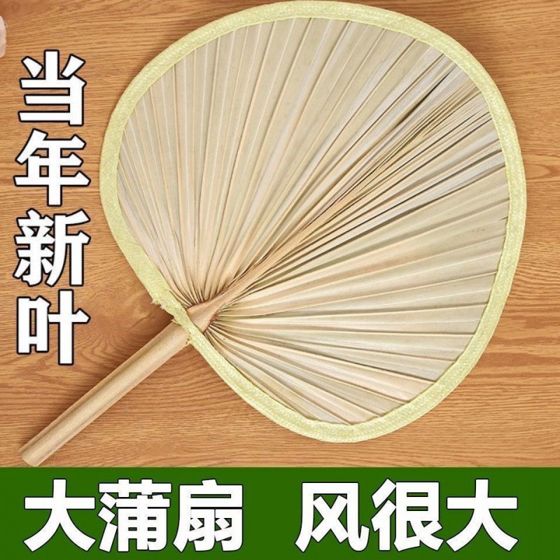 扇子大芭蕉老式家用济公扇葵扇新款蒲扇夏季舞蹈烧烤扇蒲草扇