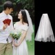 领证登记法式 小头纱求婚订婚主婚纱拍照道具高级感新娘结婚轻纱女