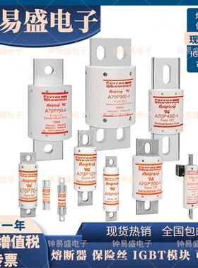 ferraz保险丝A50P10-51A50P1-1A50TNFP20-1A50P5-15A0P30-1罗2兰