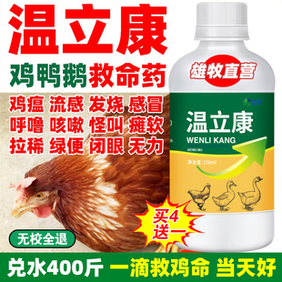 雄牧温立康养鸡专用鸡药鸭鹅禽类急救小鸡预防药咳鸡嗽瘟呼拉噜稀