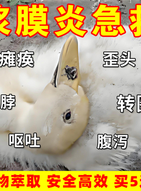 鸭鹅浆膜专用炎鸡药鸭鹅救命鸭鹅大肠杆菌包心包肝糊肛黄白痢杆舒