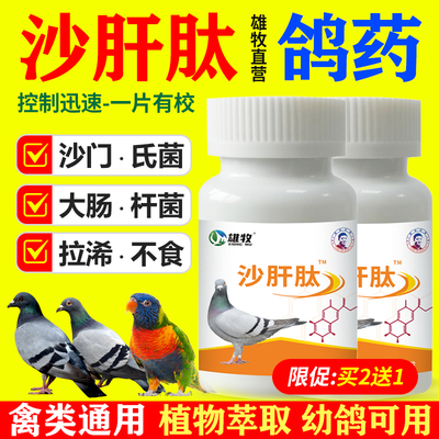 鸽子专用药鸽子沙门氏菌当天好