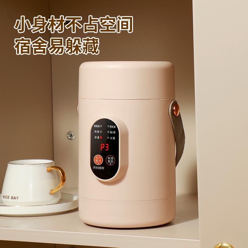 英国印度新加坡马来西亚越南香港澳门小电提锅泡面 面锅煮粥煲汤