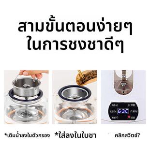 110V美规养生壶全自动蒸汽煮茶器小型家用玻璃烧水壶煮茶萃取壶