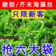 裙带菜即食海藻丝海草海带丝梗丝梗片日料沙拉寿司芥末味开袋零食