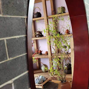 龙柳花家庭客厅场所摆设艺术造型装饰摄影背景干树枝云南直发鲜枝