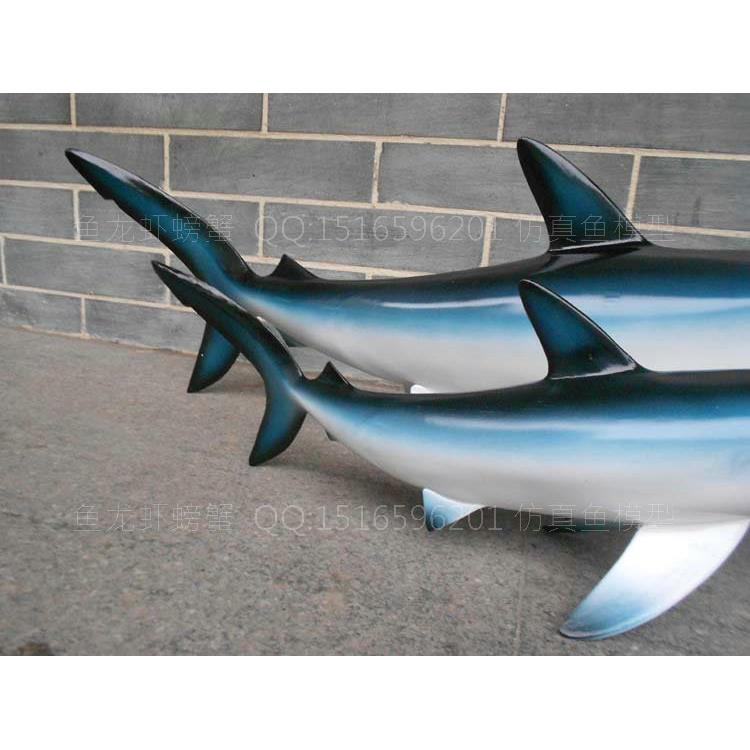 仿真鱼鱼双面鲨立体观赏型海SXS洋馆展厅装饰摆设模大型海洋鱼摆