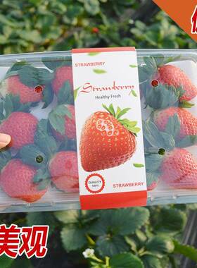 草莓包0装盒快递运1输带托分格KWO水果盒0格15格12格2格果蔬莓盒