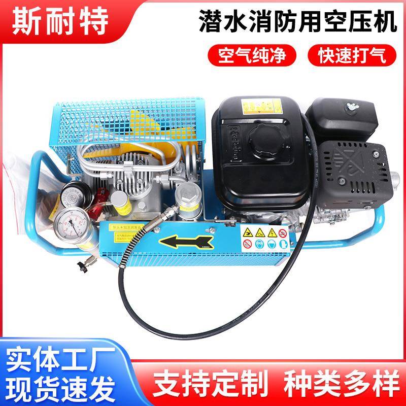 高0压潜携水空气压缩机气呼吸器充气泵20-3Mpa活塞空空气压缩式便
