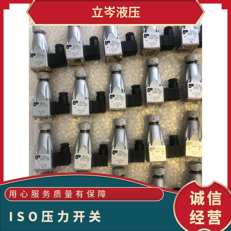 IPN080/E IPN080/A意大利ISO压力开关IPN全系列