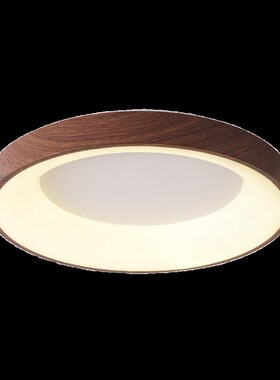 由灯记卧室吸顶灯美式简约现代2z023新款书房餐厅灯日式实木房间