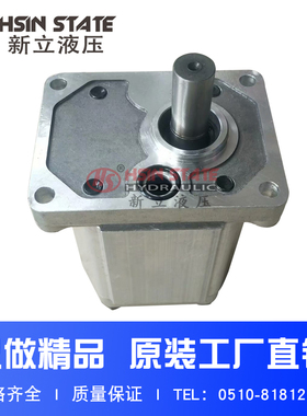 举升机升降台齿轮泵BAP2B15D20/D16/D18/D22/D25/PD28/D30C2L10-B