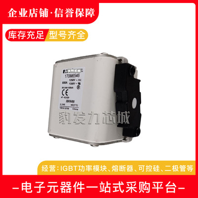 170M6646-170M6651熔断器