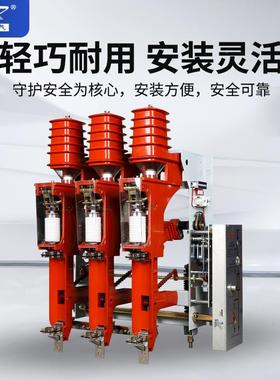 F荷ZN25-12D/6荷30户内电动NHM真空负关10KV负开关熔断器开组合