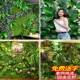 仿真物墙1平背方墙阳台植塑料假草坪花面壁挂VRX室内景