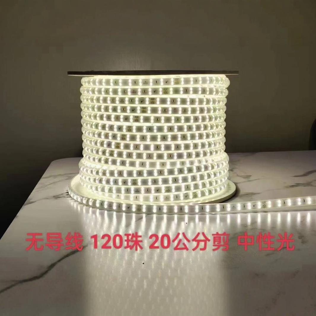 户外防水LED灯带220V卷100米