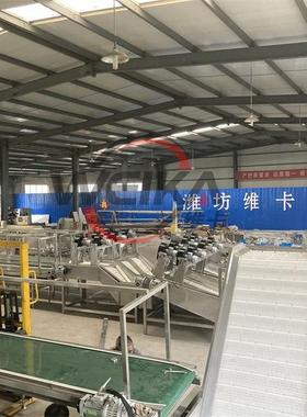 樱桃精选分机 黄蜜分 拣机车机厘子分级除杂厂家潍坊UGA直选销