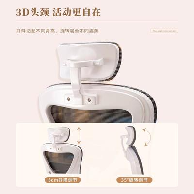 人体工学办公椅竞椅家用SGT久坐不累电脑学椅学可升生降习椅电子