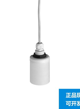 E+H超声波液位计探头 FDU91-RG2AA 恩德斯豪斯Endress+Hauser现货