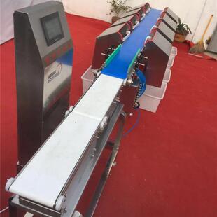 分拣机 虾海参鸡爪全自动称重机猪蹄分拣机多级分选机 在线分级机