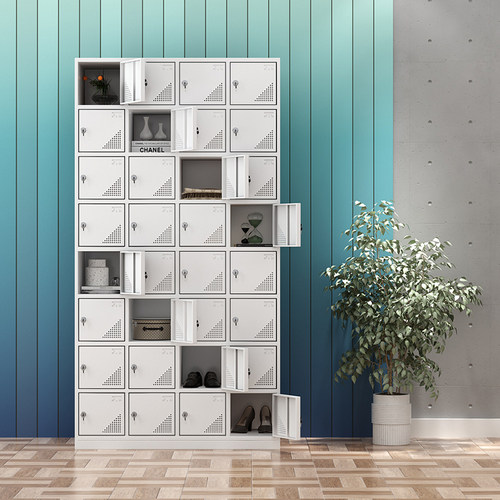 速发浙江柜丽水市24门员工柜物柜更衣储碗省带锁宿舍鞋柜存包柜