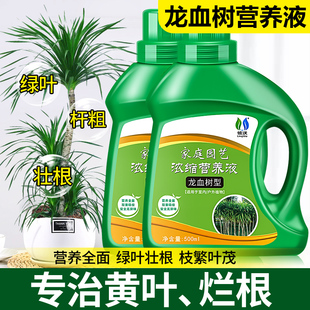 速发室血树专用液养营龙内绿植盆栽叶子发黄枯叶通用型绿叶壮根肥