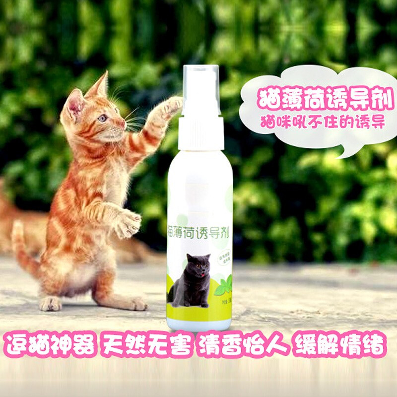 速发猫薄荷喷雾木天蓼猫咪快乐水情绪管理剂逗猫自嗨喷剂成猫诱导
