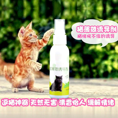 速发猫薄荷喷雾木天蓼猫咪快乐水情绪管理剂逗猫自嗨喷剂成猫诱导