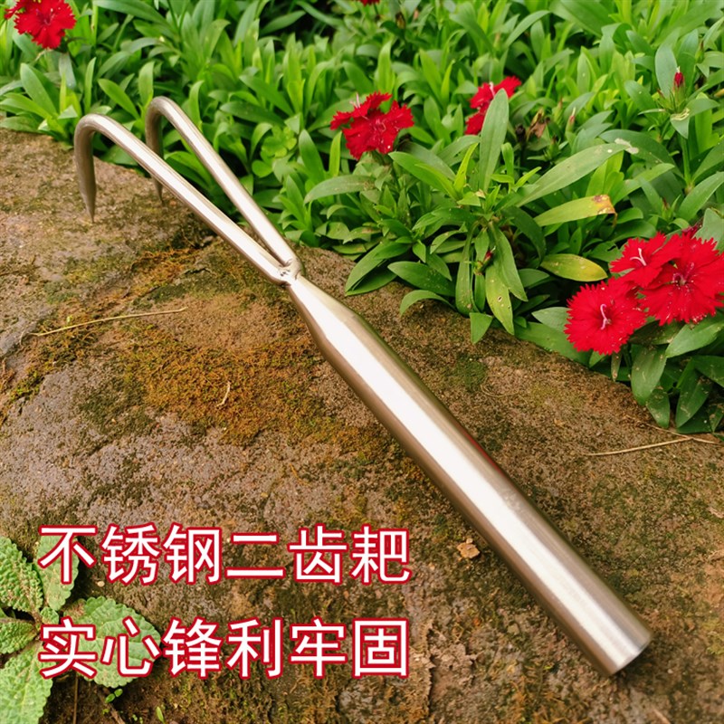 速发不锈钢松子耙土花盆家用二齿小爪子锋新实心结实种花种菜台利