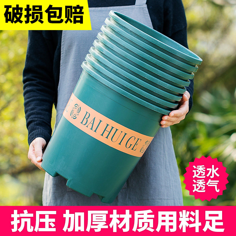 速发塑料花家台绿大盆栽盆用吊兰花盆特萝号托盘树脂加仑盆