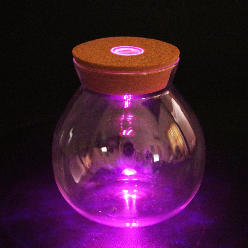 速发璃景观生态瓶 木塞玻微瓶 藓苔制作容器 带灯木盖玻璃瓶